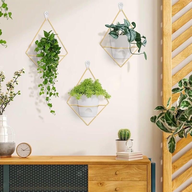 Koalaime 3 Sets Wall Planters for Indoor Plants Geometric Hanging Planters for Indoor Plants - Self-Watering Flower Pots with Black Metal Holder, Mounted Succulent Planter, 5" Black Plant Pot - Image 5